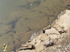 -西樵山风景名胜区-天湖公园