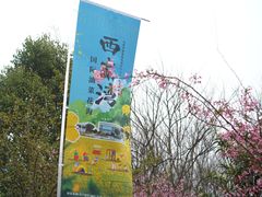 -西京湾花海