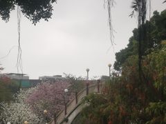 -金砂公园