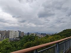 -金鸡山公园