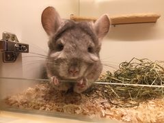 -龙猫仔乐园(惠福东路店)