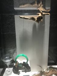 -北京七彩云南翡翠珠宝旗舰店(月坛店)