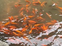 -刘伯温故里景区百丈漈