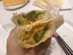 -丁老爷子苏香圆