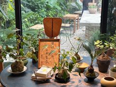 -自由生长植物工作室(深港花卉中心店)