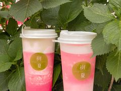 -树夏(建设路店)