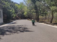 -白草畔自然风景区