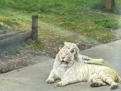 -西安秦岭野生动物园
