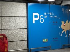 -虹桥综合交通枢纽-P6停车库