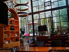 -桉树林A coffee 森林餐厅(三圣乡店)