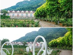 -密云玫瑰情园