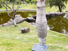 -厦门悦华酒店