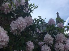 -星巴克烘焙中心