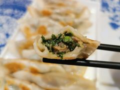 猪肉茴香煎饺-东方饺子王(新奥购物中心店)