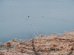 -贡湖湾湿地公园