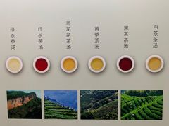-中国茶叶博物馆(双峰馆区)