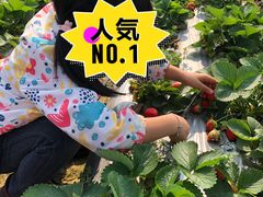 -新地休闲农场