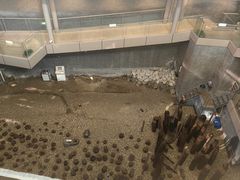 -元代水闸遗址博物馆