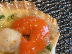 -月龍吟(朝龙汇店)