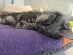 -龟与熊猫宠物公园(南坪店)