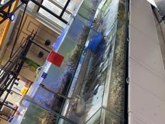 -四海蒸鲜蒸汽海鲜自助(北戴河店)
