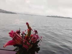 -柳莺湖上·湖景餐厅·江南菜(西湖店)