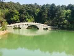 -铁山坪森林公园