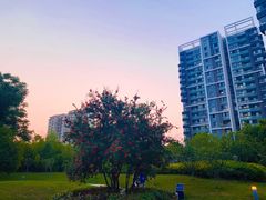 小区环境-经纬·泓汇地标家园