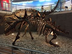 -国家自然博物馆