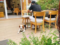 -Au Cafe&Roastery(华侨城店)