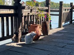 -丝绸小镇荻港古村