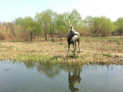 景点-溱湖国家湿地公园