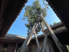-太平天国侍王府