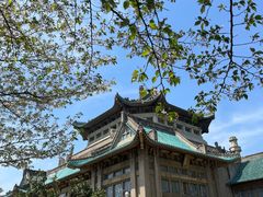 -武汉大学-樱园