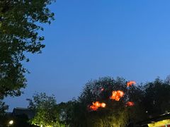 -疯克大象美式烤肉餐厅