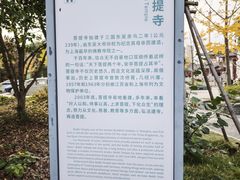 -安亭老街