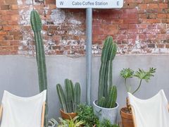 -CABO Coffee