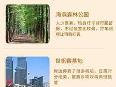 -日照海滨国家森林公园