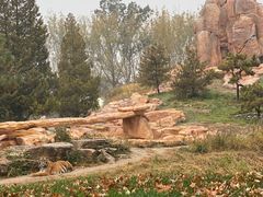 -北京野生动物园