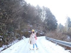 -武陵山森林公园