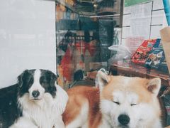 -餐酒吧Com-ing Bar(上海路店)