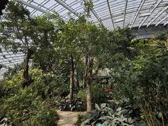 -济南植物园