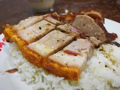 烧肉烧鸭双拼饭-陈光记烧腊店(罗保博士街店)
