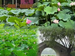 -云龙湖旅游景区