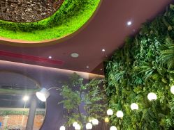 -花隐·美芙炫海菲秀皮肤管理中心