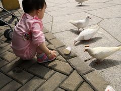 -无锡动物园·太湖欢乐园