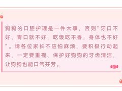 -瑞派申生动物医院·24H夜诊·国际动物医疗中心·骨外科(吴中路店)