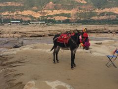 景点-陕西黄河壶口瀑布旅游区