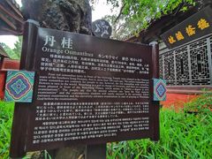 -七曲山风景区