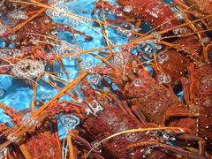 -徐记海鲜(大雁塔|金都店)